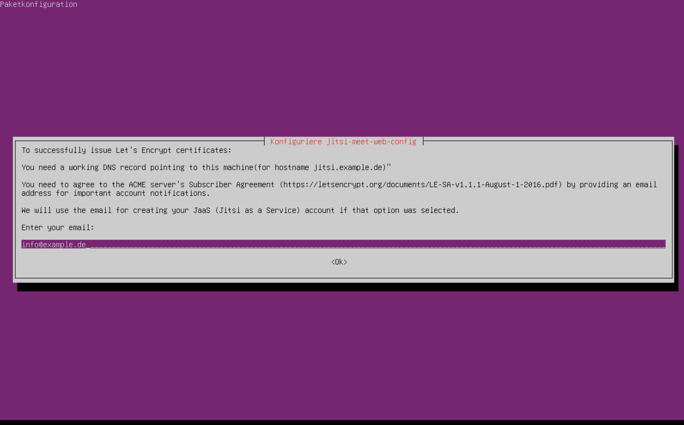 Befehle in der Linux-Konsole zur Installation von Jitsi
